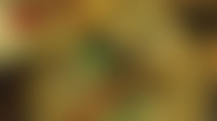 2542. 心の眼を喪失した現代人