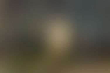 3308. 理論体系の構築に向けて