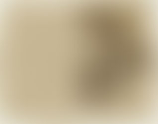 1839. ゴッホの手紙