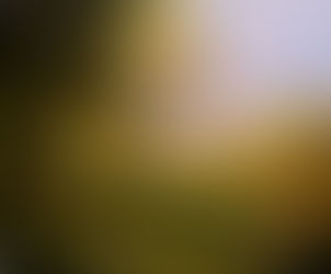 4086-4090:フローニンゲンからの便り 2019年4月4日(木)