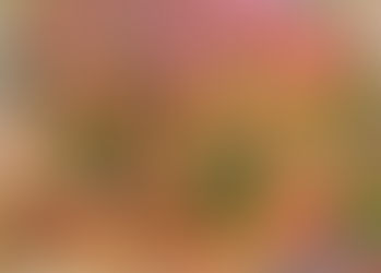 2798. 一瞥体験と叡智の泉