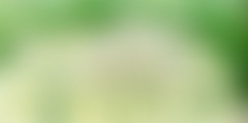 2793. 暗算・リーガ・長岡京