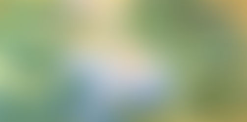2515. 素晴らしき一日