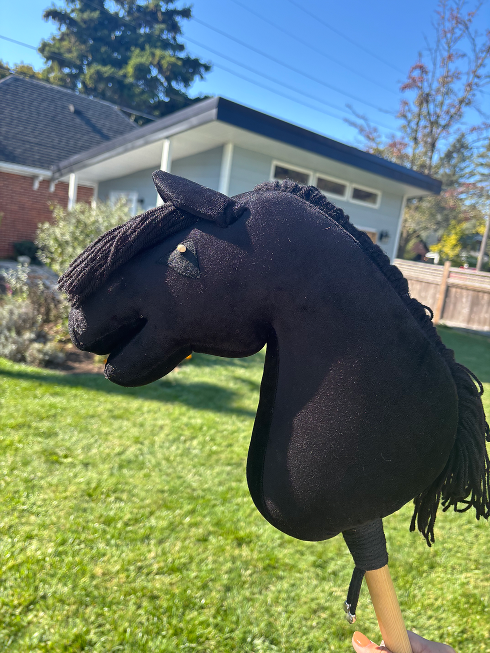 Thumbnail:  A4 Hobbyhorse “Viktoria”