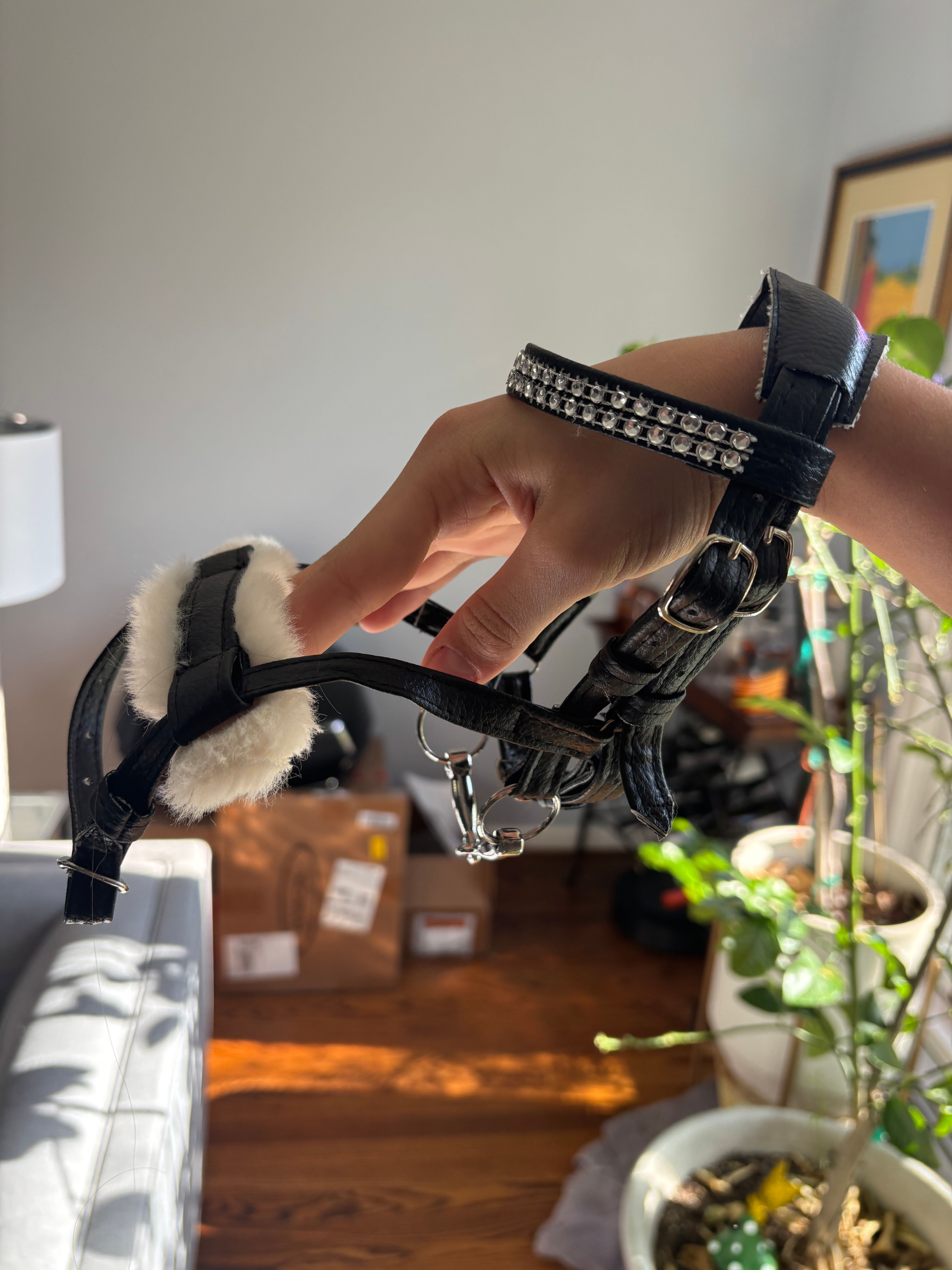 USED hobbyhorse High Jump Bridle