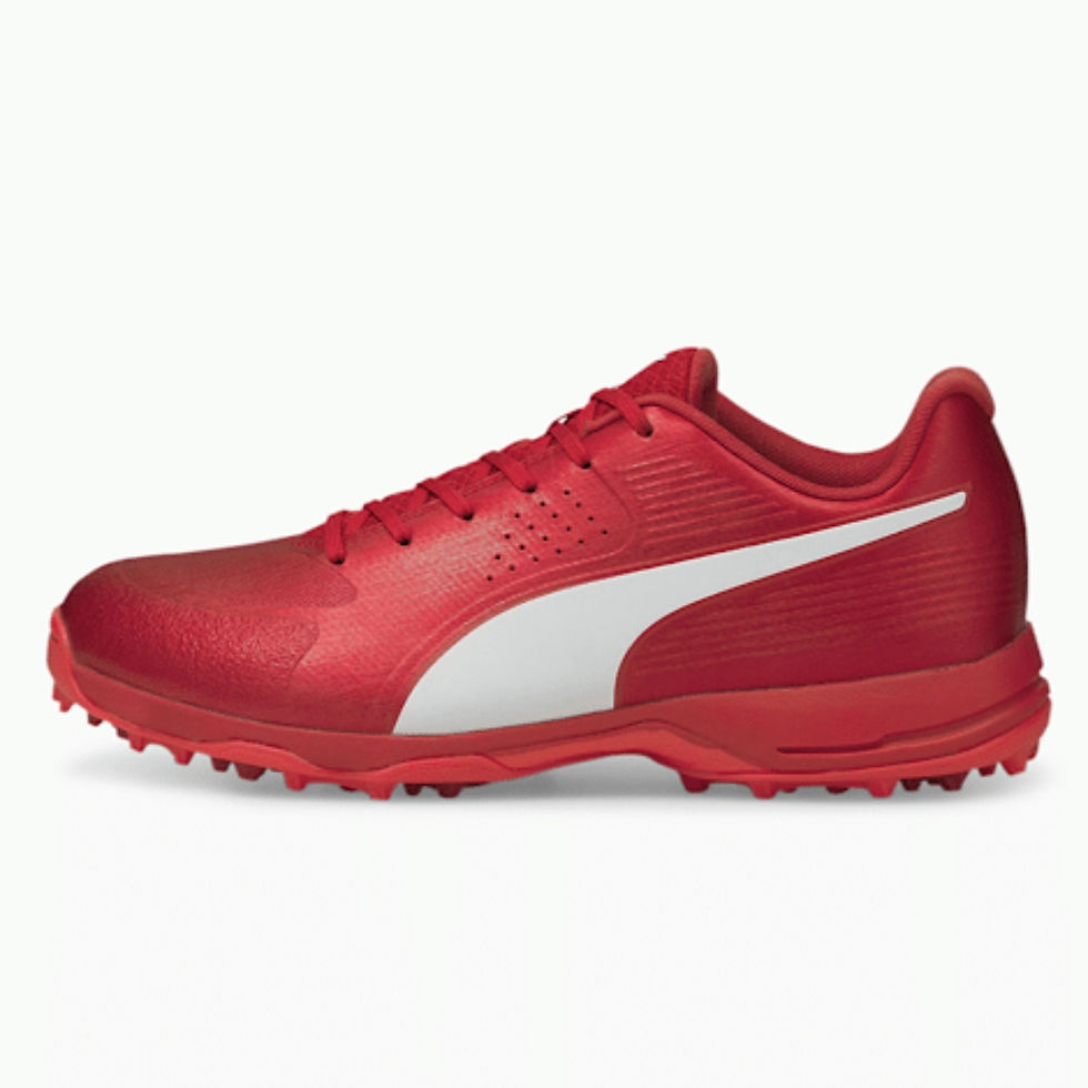 Pink puma cricket shoes