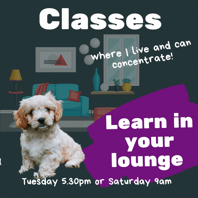 classes .gif