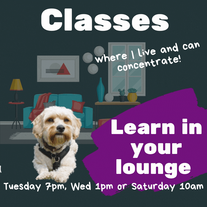 classes (1).gif
