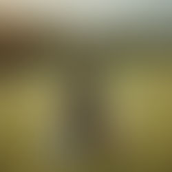 Expert Advice for Intentional Parenting Strategies: Fatherhood Relationship Building Tips