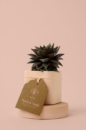 M&N plant pot tag 2 copy.jpg