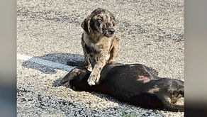 Unintended Consequences!