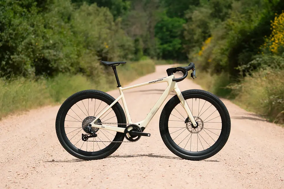 Miniaturbild: E-Gravel Megamo Along 10 | 2027