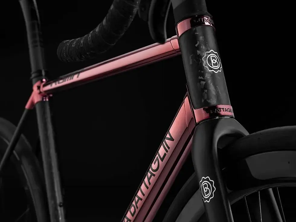 Miniaturbild: Officina Battaglin Roma | Carbon/Stahl & Campagnolo Super Record WRL 2x12