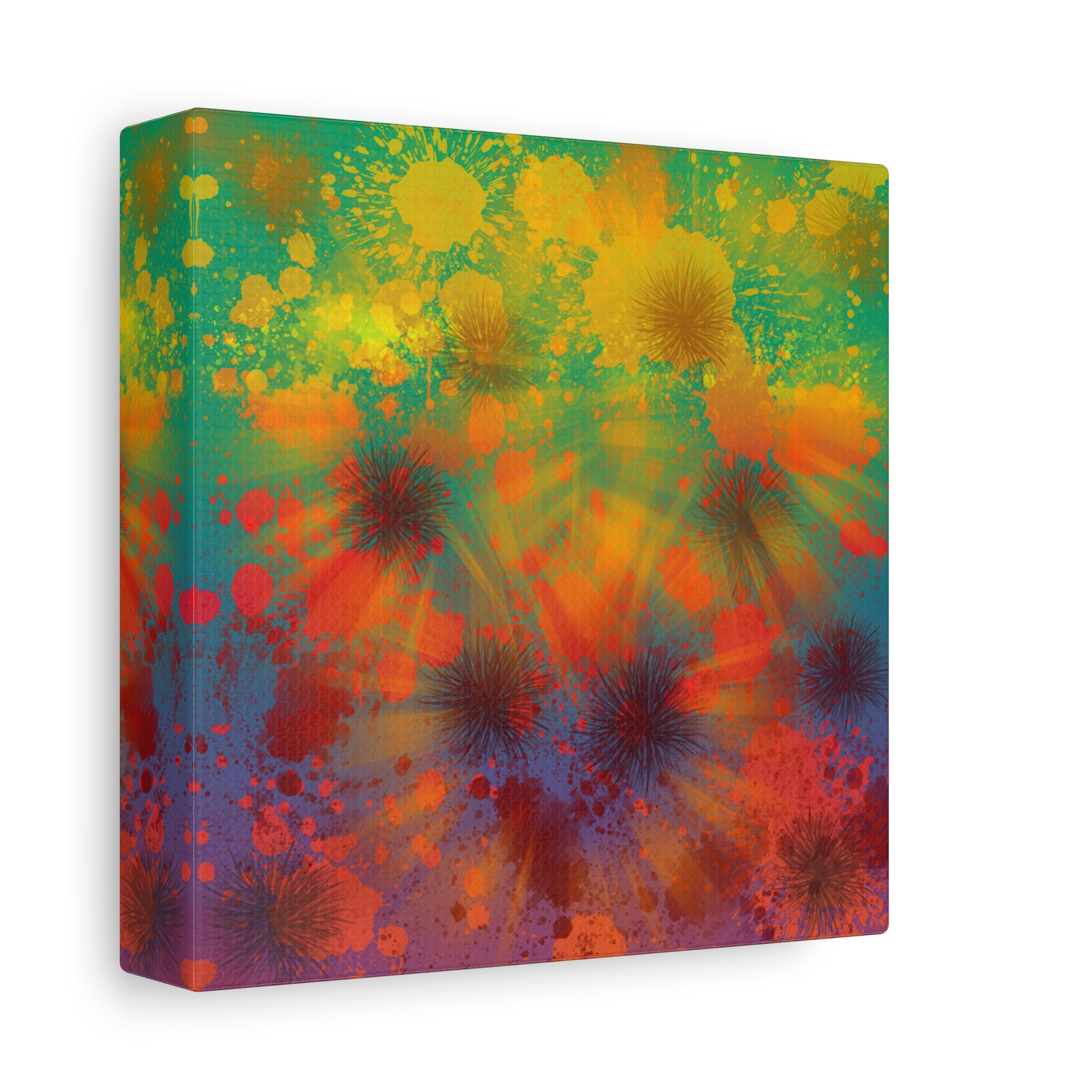 Rainbow Urchins Canvas Gallery Wraps