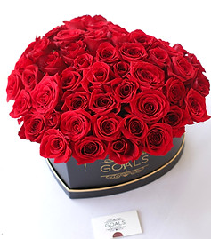 AGSM_0337_edited.jpg
