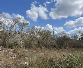 VENTA TERRENO CON PROYECTO ZONA COUNTRY - MÉRIDA