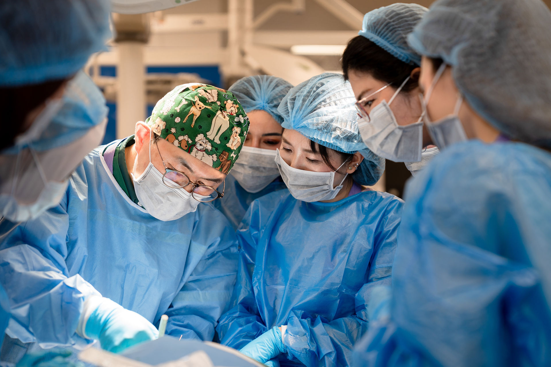 Buổi đào tạo ASLS Cadaver Academy 2026