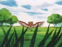 Spearow with spread wings flies over a grassy field, framed by tall grass. Trees and a blue sky with clouds form the serene background.
