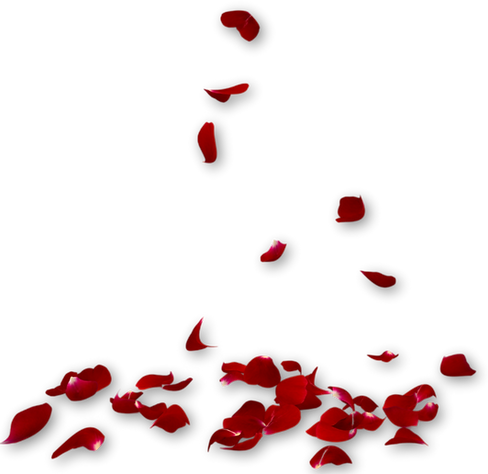 Untitled design (5)_edited_edited_edited