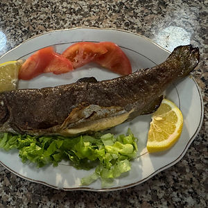 Trout fish