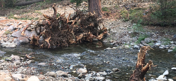 South Fork Scott River Floodplain Restoration Project - Phase 2