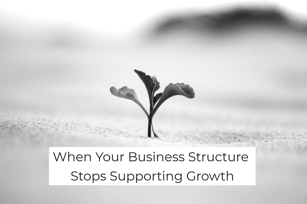 Tiny green-and-yellow seedling sprouts from pale sand, centered in a soft blurred background, suggesting fragile new growth. With an overlay text of "When Your Business Structure Stops Supporting Growth"