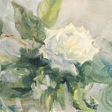 single white rose