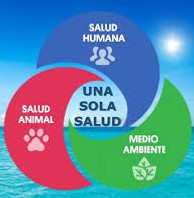 una salud.jpg