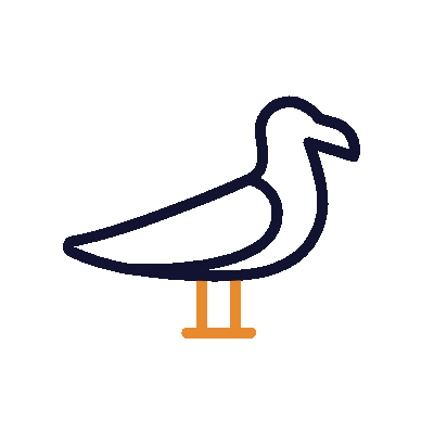 1139-seagull-outline.gif