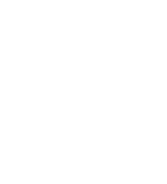 Anchor Icon.png