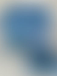 “Soft & Sweet Marshmallow Jelly”: a new-texture candy that moves at checkout