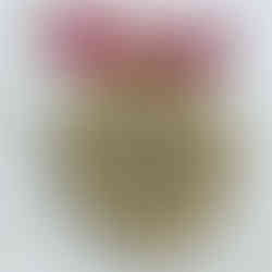 Hand burned wooden slice decoration with a heart and a red ribbon bow on the twine for hanging