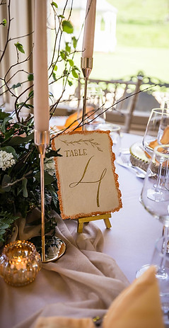 24.03..24_Wezley Webber_Crowcombe Court_086.jpg