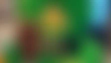 17 Mars - Saint Patrick 🍀