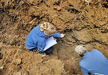 Sydney soil evaluation.jpg