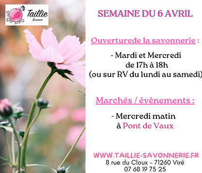 Agenda semaine_20260404_094400_0000.png