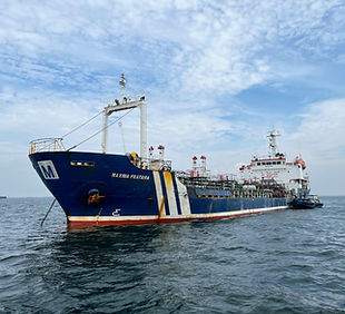 MP-pict2.jpg