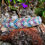 Thumbnail: Bracelet micromacramé sodalite