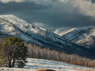 Stop Overthinking It: Wyoming Is Still the Best Home for a Bitcoin LLC