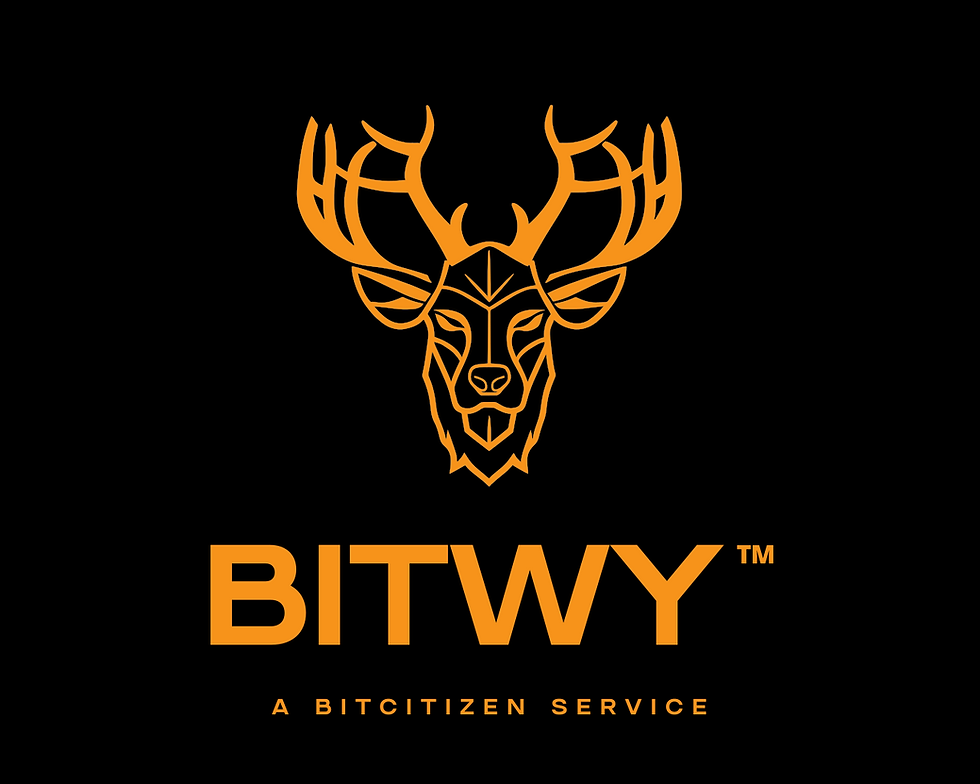 BitWY.png