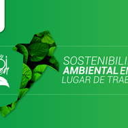 6 tips de sostenibilidad ambiental en tu lugar de trabajo