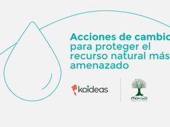 Acciones de cambio para proteger el recurso natural más amenazado