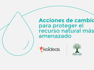 Acciones de cambio para proteger el recurso natural más amenazado