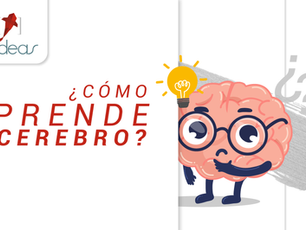 ¿Cómo aprende tu cerebro?