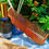 Thumbnail: Wooden Comb