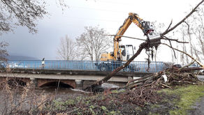Crue du 29 et 30 janvier