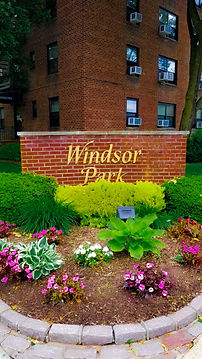 20200528_114103.jpg