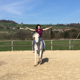 Freies Reiten 2016