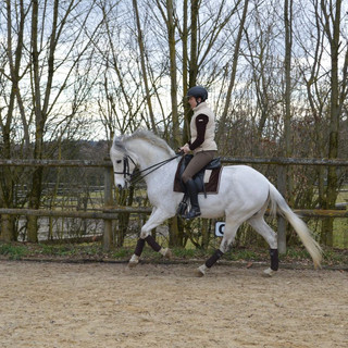 Working Equitation Training 2013
