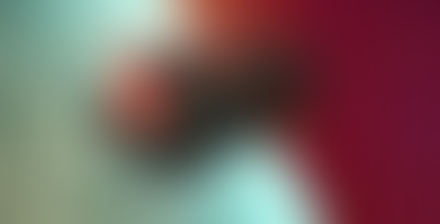 Vaisseau sentinelle classe S